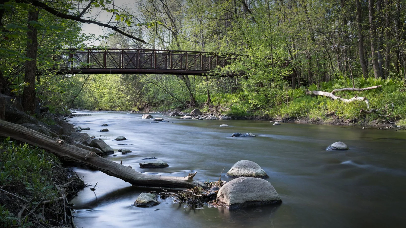 Rivière et passerelle en forêt dans le secteur de Cap-Rouge